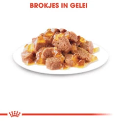 Royal Canin Sterilised In Jelly Kattenvoer 12x85g 9 Royal Canin Sterilised In Jelly Kattenvoer 12x85g -Royal Honden Aanbiedingen Winkel Royal Canin Sterilised Jelly Kat NL 4