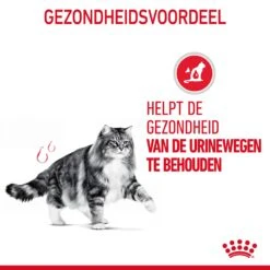 Royal Canin Urinary Care Kattenvoer 10kg 18 Royal Canin Urinary Care Kattenvoer 10kg -Royal Honden Aanbiedingen Winkel Royal Canin Urinary Care Kat NL 07 1