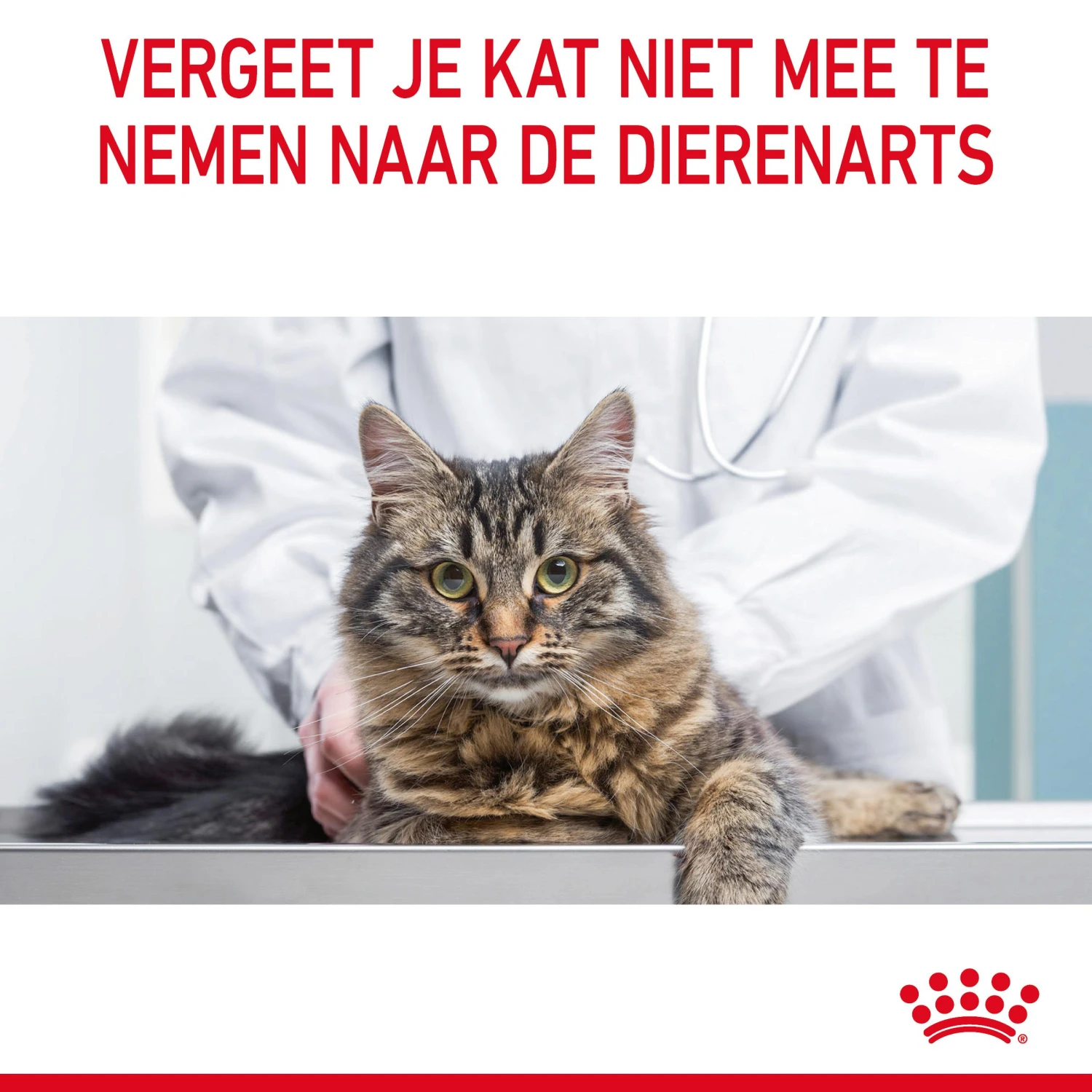 Royal Canin Urinary Care Kattenvoer 4kg 11 Royal Canin Urinary Care Kattenvoer 4kg - Afbeelding 11
