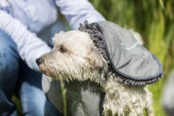 Trixie Handdoek Microvezel 78 × 32 Cm Grijs 5 Trixie Handdoek Microvezel 78 × 32 Cm Grijs -Royal Honden Aanbiedingen Winkel TRIXIE20TOWEL20MICROFIBER207820C397203220CM20GREY28329