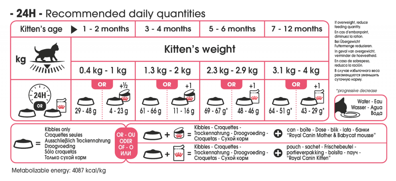 Royal Canin Kitten Kat 4kg 3 Royal Canin Kitten Kat 4kg - Afbeelding 3