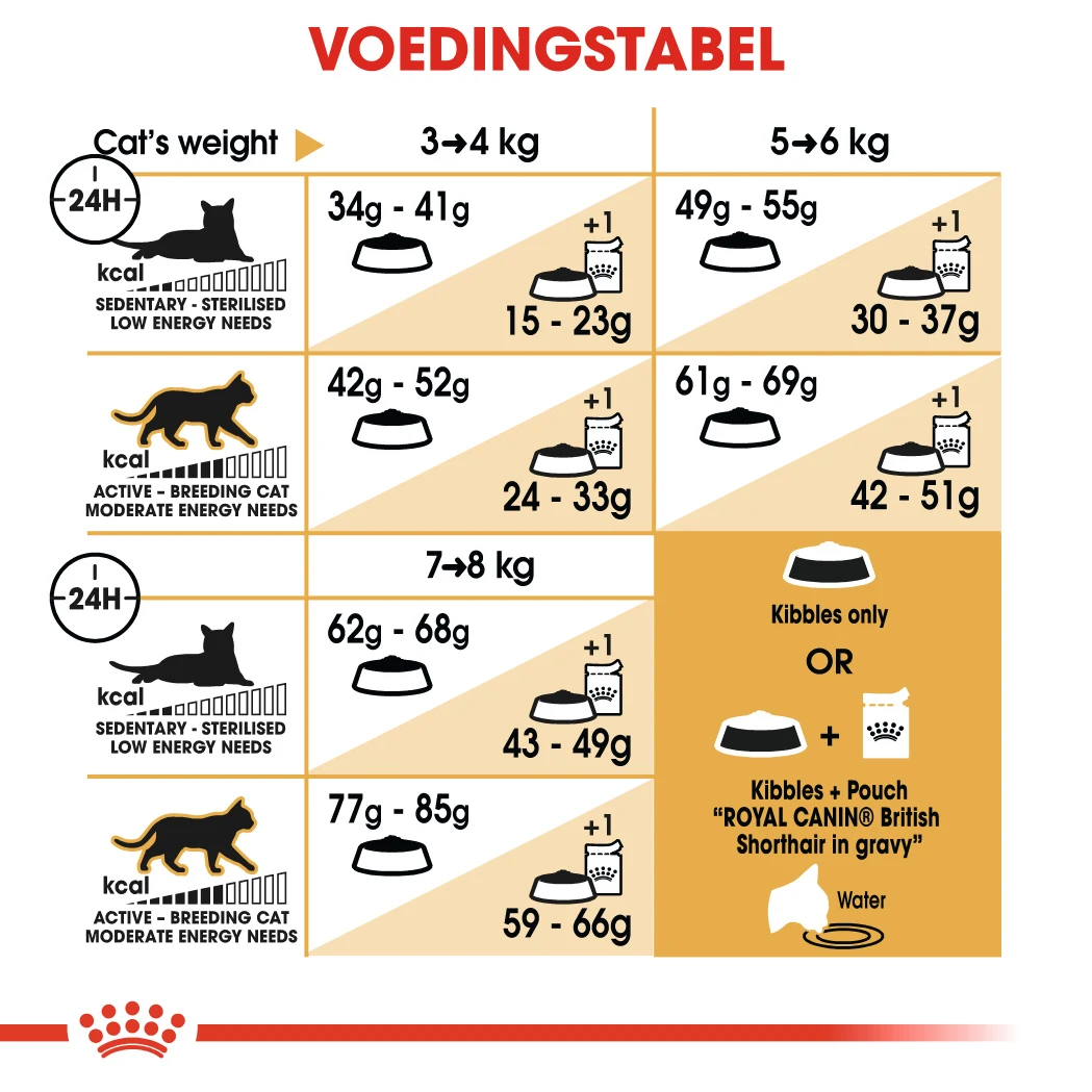 Royal Canin British Shorthair 34 - Kattenvoer - 4kg 2 Royal Canin British Shorthair 34 - Kattenvoer - 4kg - Afbeelding 2