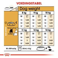 Royal Canin French Bulldog Adult 1,5kg -Royal Honden Aanbiedingen Winkel a7f8f9529a396c81205e597ffded815f63cd0d5c72f37a5880ce4e4f31cb39cd 1