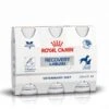ROYAL CANIN Icu Recovery Hond Vloeibaar 3 X 200 Ml