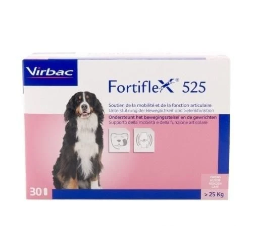 Fortiflex 525 - 30 Tabletten 1 Fortiflex 525 - 30 Tabletten