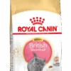 Royal Canin British Shorthair Kitten Kat 10kg