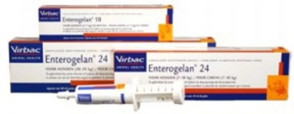 Virbac Enterogelan 24 Pasta Doseerspuit Hond 24ml 1 Virbac Enterogelan 24 Pasta Doseerspuit Hond 24ml