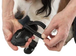 Trixie Pootbescherming Walker Active Xl 2st. -Royal Honden Aanbiedingen Winkel e08062450bd8a32b408258fb4c31ff7f7447657b0f4f3fa1ecca0f8550d45313 1