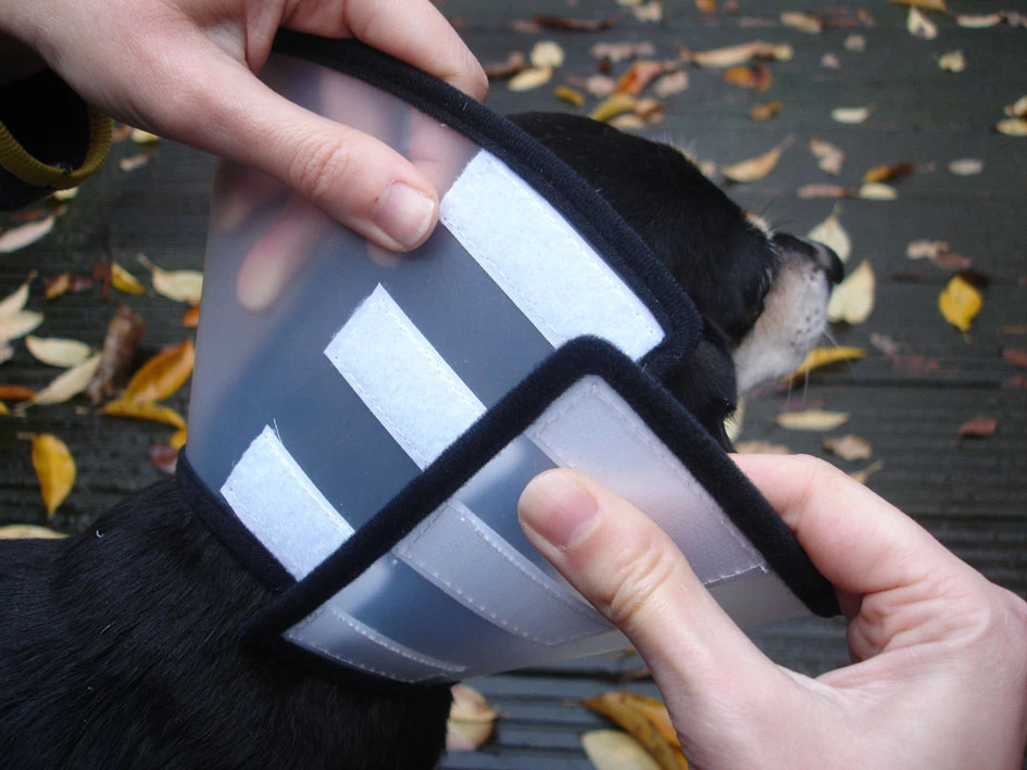 Flamingo Beschermkraag Capo 31,5cm 4 Flamingo Beschermkraag Capo 31,5cm - Afbeelding 4