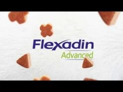 Flexadin Advanced Original 60 Chews 5 Flexadin Advanced Original 60 Chews -Royal Honden Aanbiedingen Winkel hqdefault 10 2