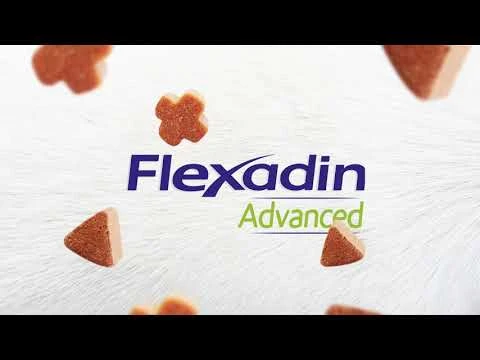 Flexadin Advanced Original 60 Chews 3 Flexadin Advanced Original 60 Chews - Afbeelding 3