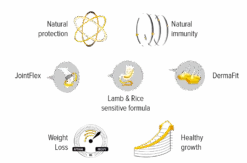 Zylkene Voedingssupplement Honden En Katten 75mg 30 Tabletten 5 Zylkene Voedingssupplement Honden En Katten 75mg 30 Tabletten -Royal Honden Aanbiedingen Winkel ikony en