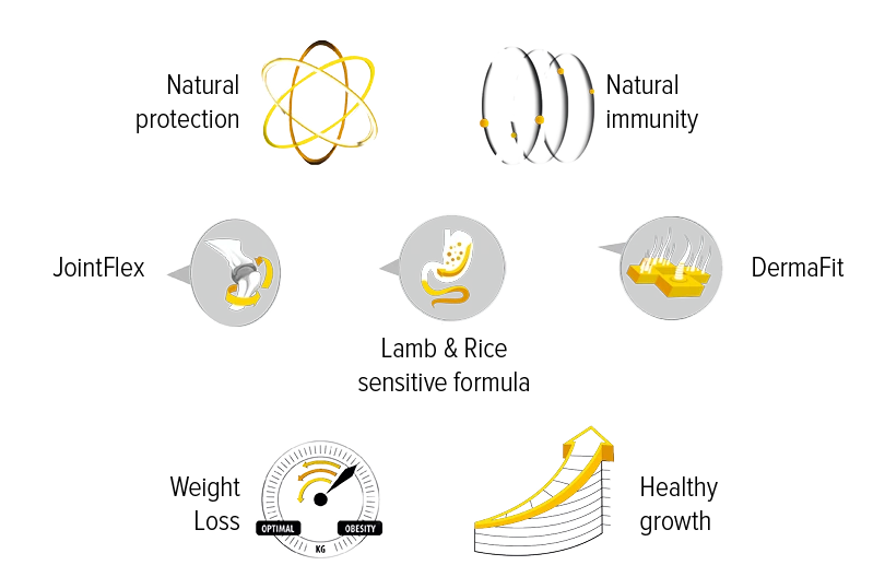 Zylkene Voedingssupplement Honden En Katten 75mg 30 Tabletten 3 Zylkene Voedingssupplement Honden En Katten 75mg 30 Tabletten - Afbeelding 3