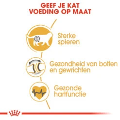 Royal Canin British Shorthair 34 - Kattenvoer - 4kg 13 Royal Canin British Shorthair 34 - Kattenvoer - 4kg -Royal Honden Aanbiedingen Winkel rc fbn britishsh cv eretailkit 3 nl nl 1