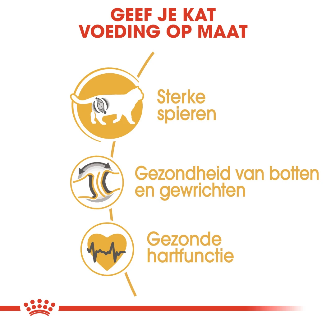 Royal Canin British Shorthair 34 - Kattenvoer - 4kg 6 Royal Canin British Shorthair 34 - Kattenvoer - 4kg - Afbeelding 6