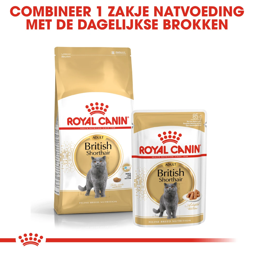 Royal Canin British Shorthair 34 - Kattenvoer - 4kg 3 Royal Canin British Shorthair 34 - Kattenvoer - 4kg - Afbeelding 3