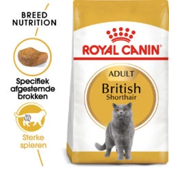 Royal Canin British Shorthair 34 - Kattenvoer - 4kg 14 Royal Canin British Shorthair 34 - Kattenvoer - 4kg -Royal Honden Aanbiedingen Winkel rc fbn britishsh mv eretailkit nl nl 1