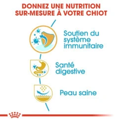 Royal Canin French Bulldog Puppy - Hondenvoer - 10kg 9 Royal Canin French Bulldog Puppy - Hondenvoer - 10kg -Royal Honden Aanbiedingen Winkel royal canin bouledogue francais puppy bouledogue francais junior 2