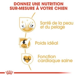 Royal Canin Cocker Adult - Hondenvoer - 12kg -Royal Honden Aanbiedingen Winkel royal canin cocker adult cocker 2 1