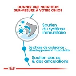 Royal Canin Giant Junior - Hondenvoer - 15kg -Royal Honden Aanbiedingen Winkel royal canin giant junior giant junior 2