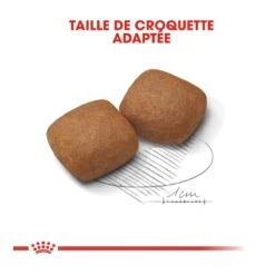 Royal Canin Giant Junior - Hondenvoer - 15kg -Royal Honden Aanbiedingen Winkel royal canin giant junior giant junior 3