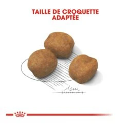 Royal Canin Giant Puppy - Hondenvoer - 15kg -Royal Honden Aanbiedingen Winkel royal canin giant puppy giant puppy 3