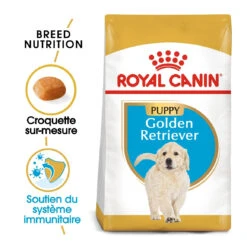 Royal Canin Golden Retriever Puppy - Hondenvoer - 12kg 9 Royal Canin Golden Retriever Puppy - Hondenvoer - 12kg -Royal Honden Aanbiedingen Winkel royal canin golden retriever puppy golden retriever junior 1