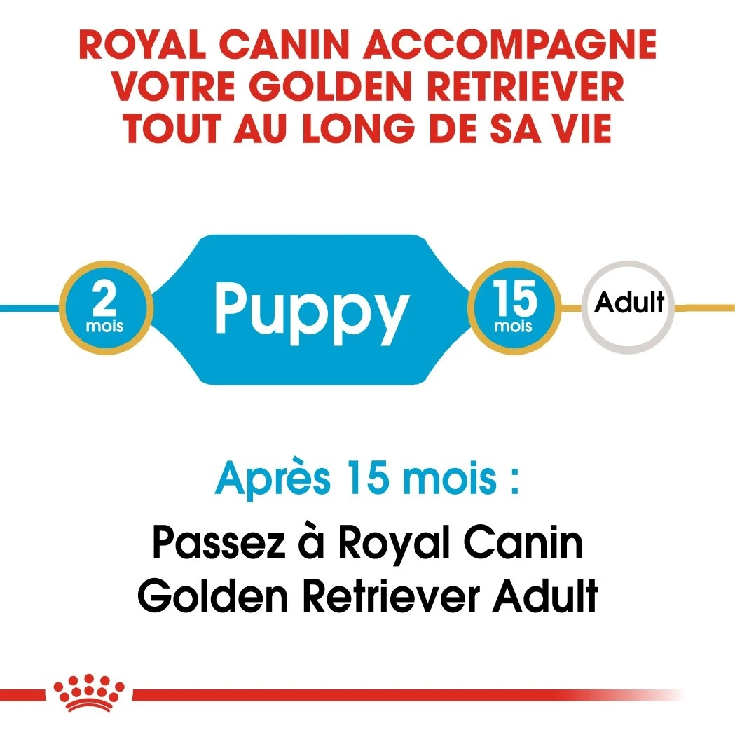 Royal Canin Golden Retriever Puppy - Hondenvoer - 12kg 5 Royal Canin Golden Retriever Puppy - Hondenvoer - 12kg - Afbeelding 5