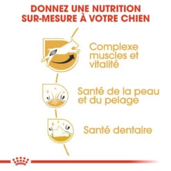 Royal Canin Jack Russell Adult - Hondenvoer - 7,5kg 9 Royal Canin Jack Russell Adult - Hondenvoer - 7,5kg -Royal Honden Aanbiedingen Winkel royal canin jack russell adult jack russell adulte 2