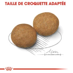 Royal Canin Medium Adult - Hondenvoer - 15kg 15 Royal Canin Medium Adult - Hondenvoer - 15kg -Royal Honden Aanbiedingen Winkel royal canin medium adult croquettes pour chien medium adult 3