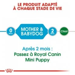 Royal Canin Mini Starter Mother & Babydog 8kg -Royal Honden Aanbiedingen Winkel royal canin mini starter mini starter 4