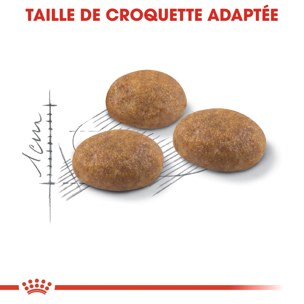 Royal Canin Outdoor Kat 10kg 4 Royal Canin Outdoor Kat 10kg - Afbeelding 4