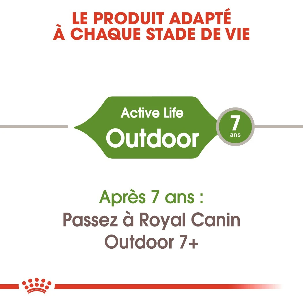 Royal Canin Outdoor Kat 10kg 5 Royal Canin Outdoor Kat 10kg - Afbeelding 5