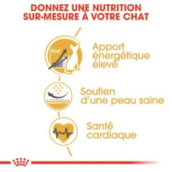 Royal Canin Sphynx 33 - Kattenvoer - 10kg 9 Royal Canin Sphynx 33 - Kattenvoer - 10kg -Royal Honden Aanbiedingen Winkel royal canin sphynx adult sphynx 2