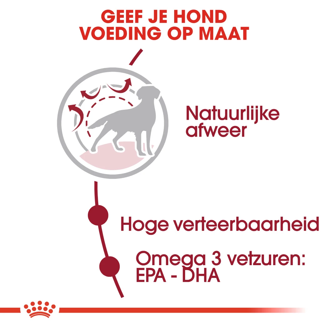 Royal Canin Medium Adult - Hondenvoer - 15kg 10 Royal Canin Medium Adult - Hondenvoer - 15kg - Afbeelding 10