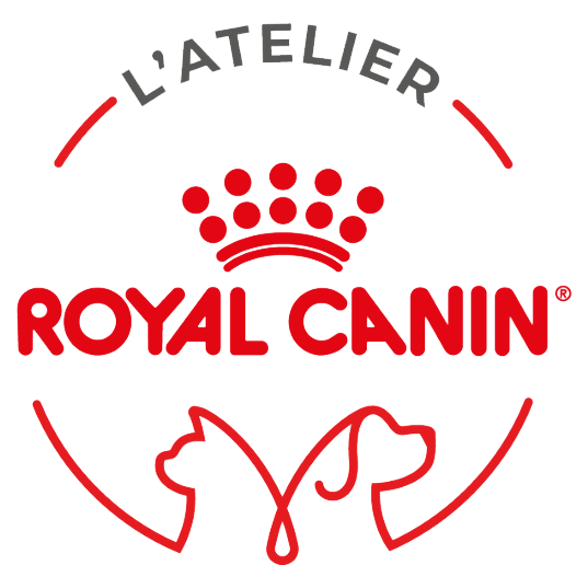 Royal Honden Aanbiedingen Winkel
